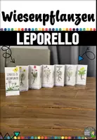 Vorschau - Arbeitsblätter - Wiesenpflanzen - Leporello - Deckblatt