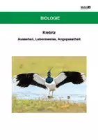 Vorschau - Arbeitsblätter - Kiebitz - Arbeitsblätter mit Lösungen - Deckblatt