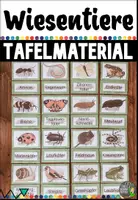 Vorschau - Merkblätter - Tiere der Wiese - Bild- und Wortkarten - Deckblatt