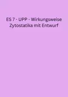Vorschau - Stundenentwürfe - Materialpaket - Examen UPP´s & Kolloquium - Seite 1
