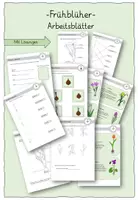 Vorschau - Arbeitsblätter - Frühblüher AB- Sachunterricht - Deckblatt