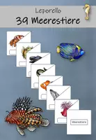 Vorschau - Mal- und Bastelvorlagen - Meerestiere-Leporello - Deckblatt