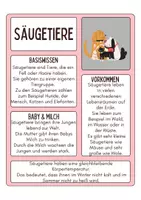 Vorschau - Merkblätter - Tierklassen Wissenstexte, Informationsblätter - Seite 2