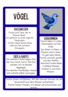 Vorschau - Merkblätter - Tierklassen Wissenstexte, Informationsblätter - Seite 3