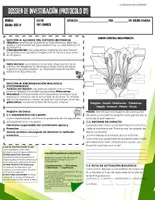 Vista previa - Hojas de trabajo - Biología vegetal secundaria | Fotosíntesis y botánica actividades - página 2