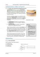 Vorschau - Arbeitsblätter - Bandscheiben - Aufbau und Funktion (Arbeitsblatt) - Seite 3