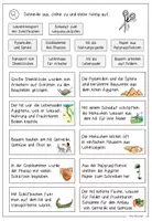 Vorschau - Arbeitsblätter - Altes Ägypten / Leben am Nil - Seite 3