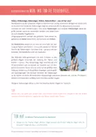Vorschau - Merkblätter - DIE KRÄHE: Hintergrundwissen und Bildmaterial - Seite 3