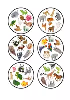 Náhled - ANIMALS - Dobble/Spot It card game - 57 cards - boční 3