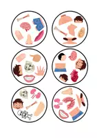 Náhled - HUMAN BODY - Dobble/Spot It card game - boční 3