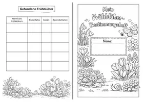 Vorschau - Arbeitsblätter - Materialpaket: Frühblüher - Bestimmungsschlüssel, Sezieren, Buddybook & Gruppenpuzzle - Seite 2