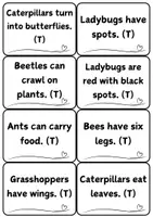 Náhled - 60 Insect True False Task Cards, Kids Bug Facts - boční 3