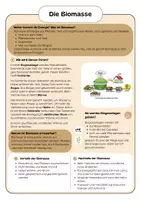 Vorschau - Arbeitsblätter - Biomasse: Erneuerbare Energie (3., 4., 5. Klasse) - Seite 1