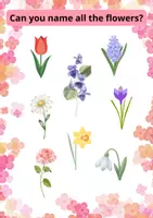 Náhled - Flower Outdoor Activity for Kids 20 Stations Preschool - boční 1