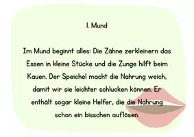 Vorschau - Poster - Stationenkärtchen Nahrung - Deckblatt