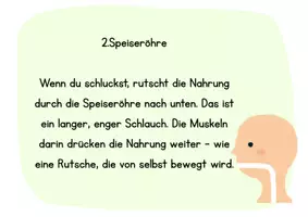 Vorschau - Poster - Stationenkärtchen Nahrung - Seite 1