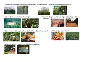 Vorschau - Arbeitsblätter - Raumanalyse: Immerfeuchte Tropen - trop. Regenwald - Überblicksstunde zu Themen der Einheit - AB + Lösung - Seite 1