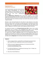 Vorschau - Arbeitsblätter - Formen der Hemmung der Enzymaktivität -Gruppenpuzzle - Seite 2