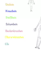 Vorschau - Mal- und Bastelvorlagen - RIESENSKELETT ausschneiden, beschriften, bestaunen - Seite 3