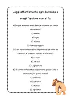 anteprima - Esercizi - Verifica sul Paleolitico - Pagina 2
