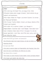 Vorschau - Arbeitsblätter - Sachtext Affe - Seite 2