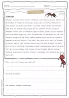 Vorschau - Arbeitsblätter - Sachtext Ameise - Seite 3