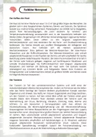 Vorschau - Arbeitsblätter - Experiment Tastempfindlichkeit der Haut - Seite 2
