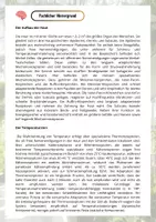 Vorschau - Arbeitsblätter - Experiment Wärmeabgabe der Haut - Seite 2