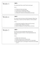 Vorschau - Stundenentwürfe - Wochenplan Bio Klasse 8 - Woche 1 Informationssysteme - Seite 2