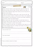 Vorschau - Arbeitsblätter - Sachtext Biene - Seite 3