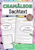 Vorschau - Arbeitsblätter - Sachtext Chamäleon - Deckblatt