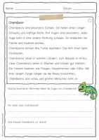 Vorschau - Arbeitsblätter - Sachtext Chamäleon - Seite 1