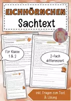 Vorschau - Arbeitsblätter - Sachtext Eichhörnchen - Deckblatt