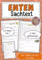 Vorschau - Arbeitsblätter - Sachtext Ente - Deckblatt