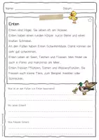 Vorschau - Arbeitsblätter - Sachtext Ente - Seite 1