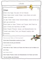 Vorschau - Arbeitsblätter - Sachtext Ente - Seite 2