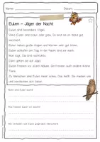 Vorschau - Arbeitsblätter - Sachtext Eule - Seite 1