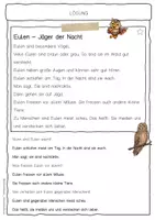 Vorschau - Arbeitsblätter - Sachtext Eule - Seite 2