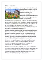 Vorschau - Arbeitsblätter - DAF Leseverstehen Ostern Text Aufgabe Lösung - Seite 1