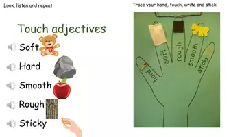 Попередній перегляд - Science_Year 3_The five senses_touch_taste and smell - Сторінка 3