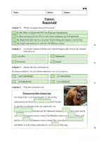 Vorschau - Arbeitsblätter - Wachsendes Materialpaket Geolino-Podcasts: Übungen zum Hörverstehen - Tiere - Seite 2