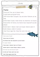 Vorschau - Arbeitsblätter - Sachtext Fisch - Seite 2