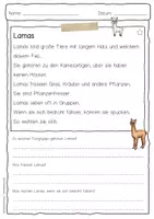 Vorschau - Arbeitsblätter - Sachtext Lama - Seite 1
