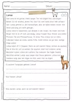 Vorschau - Arbeitsblätter - Sachtext Lama - Seite 3