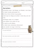 Vorschau - Arbeitsblätter - Sachtext Murmeltier - Seite 1