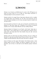 Vorschau - Anderer Materialtyp - Slinkachu - Informationstext mit Fragen und Lösungen - Seite 1