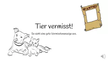Vorschau - Präsentationen/Tafelbilder - Tierbeschreibung- Erklärvideo zur Vermisstenanzeige - Seite 2