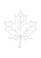 Vorschau - Mal- und Bastelvorlagen - 15 Herbstmotive Prickelbilder Set - Seite 1