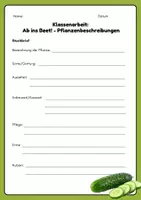 Vorschau - Arbeitsblätter - Klassenarbeit Pflanzenbeschreibungen Klasse 4/5 - Seite 3