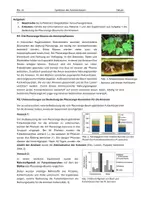Vorschau - Stundenentwürfe - Arbeitsteilige Erarbeitung der Symbiose zw. Ameisenbaum und Ameise - Seite 2
